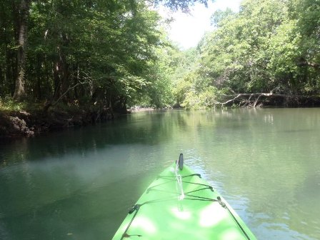 Paddling Holmes Creek, Panhandle