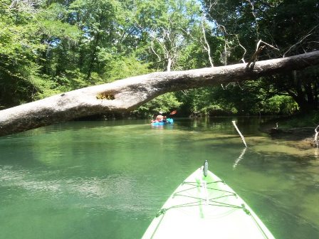 Paddling Holmes Creek, Panhandle