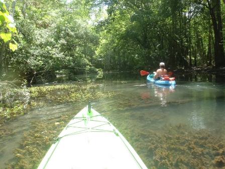 Paddling Holmes Creek, Panhandle