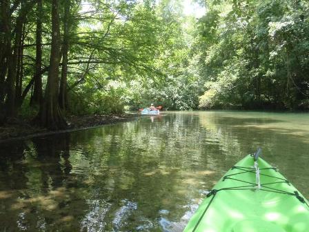 Paddling Holmes Creek, Panhandle