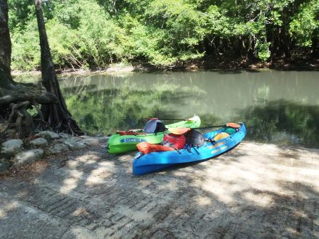 Paddling Holmes Creek, Panhandle