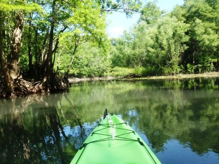 Paddling Holmes Creek, Panhandle