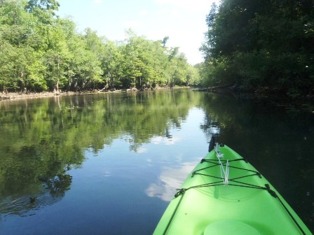 Paddling Holmes Creek, Panhandle