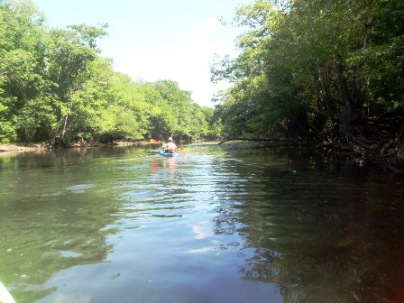 Paddling Holmes Creek, Panhandle