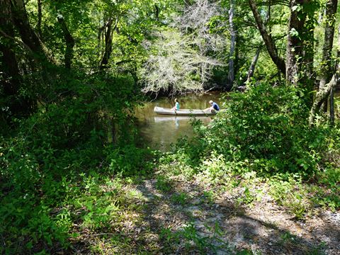 paddling Holmes Creek