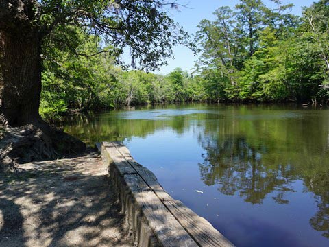 paddling Holmes Creek