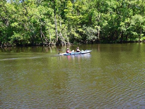 paddling Holmes Creek