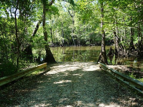 paddling Holmes Creek