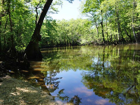 paddling Holmes Creek