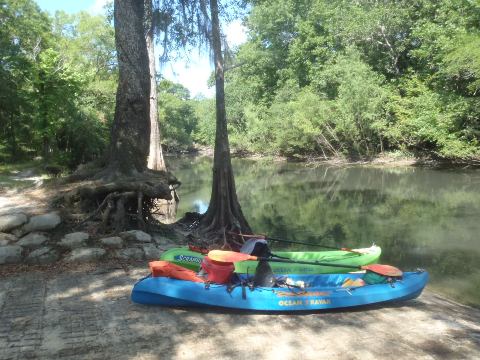 paddling Holmes Creek