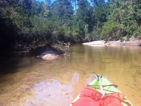 Paddle Florida Panhandle, Juniper Creek, Kayak, Canoe