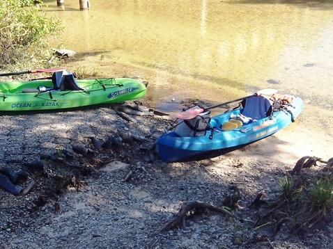 Paddling Juniper Creek, Panhandle