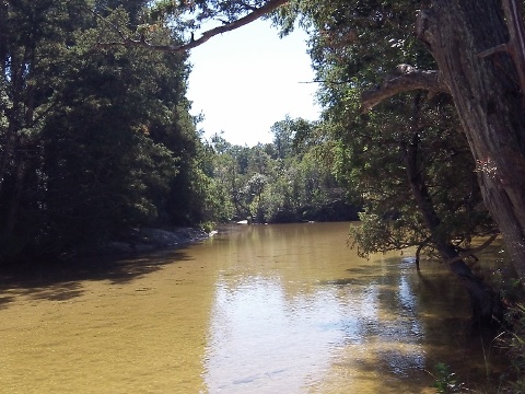 Paddling Juniper Creek, Panhandle