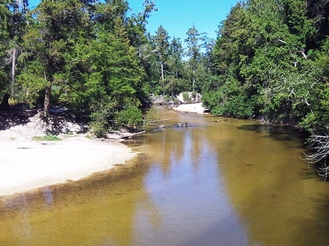 Paddling Holmes Creek, Panhandle