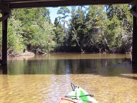 paddling Juniper Creek, Panhandle