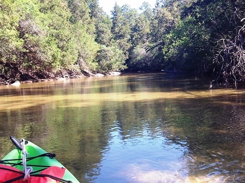 paddling Juniper Creek, Panhandle