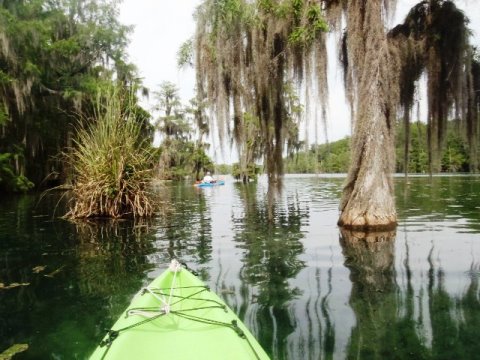 Merritt's Mill Pond