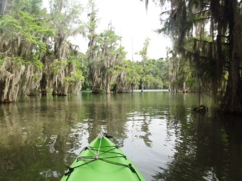 Paddle Florida Panhandle, Merritt's Mill Pond - Kayak, Canoe