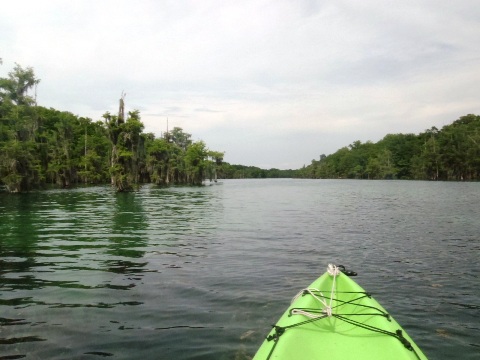 Paddle Florida Panhandle, Merritt's Mill Pond - Kayak, Canoe