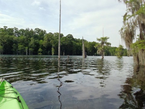 Paddle Florida Panhandle, Merritt's Mill Pond - Kayak, Canoe