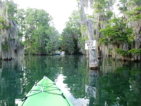 Paddle Florida Panhandle, Merritt's Mill Pond - Kayak, Canoe