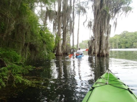 Paddle Florida Panhandle, Merritt's Mill Pond - Kayak, Canoe