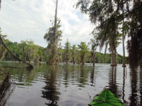 Paddle Florida Panhandle, Merritt's Mill Pond - Kayak, Canoe