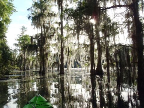 Paddle Florida Panhandle, Merritt's Mill Pond - Kayak, Canoe