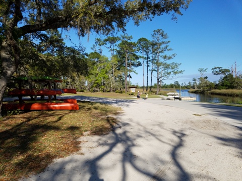 Ochlockonee River, FL Panhandle paddling