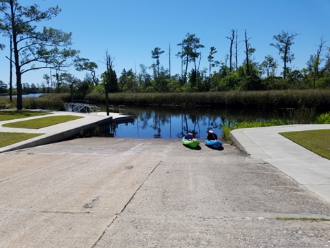 Ochlockonee River, FL Panhandle paddling