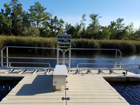 Ochlockonee River, FL Panhandle paddling