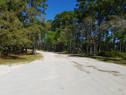 Ochlockonee River, FL Panhandle paddling