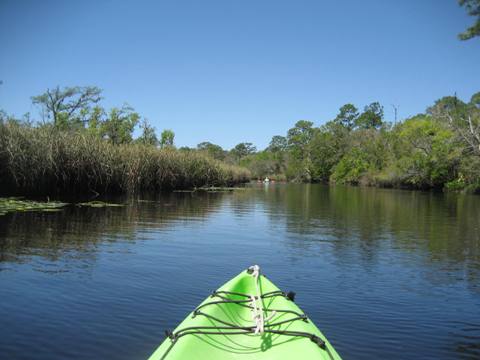 Ochlockonee River, FL Panhandle paddling