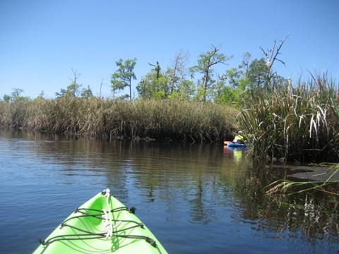 Ochlockonee River, FL Panhandle paddling