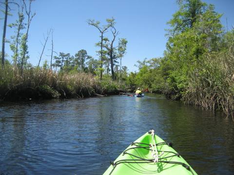 Ochlockonee River, FL Panhandle paddling