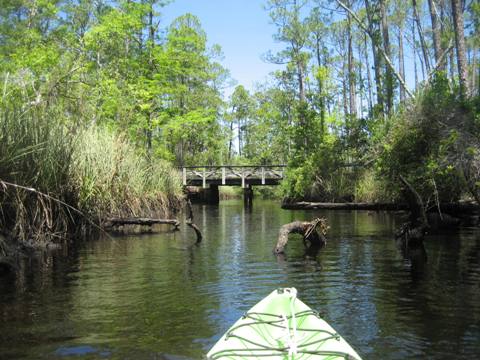Ochlockonee River, FL Panhandle paddling