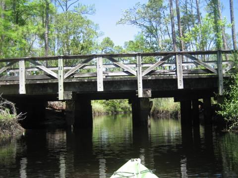 Ochlockonee River, FL Panhandle paddling