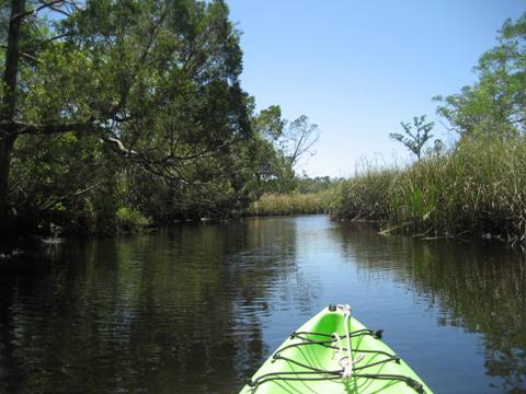 Ochlockonee River, FL Panhandle paddling