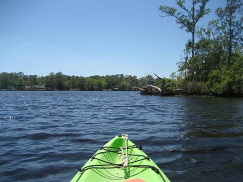 Ochlockonee River, FL Panhandle paddling