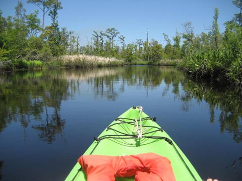 Ochlockonee River, FL Panhandle paddling