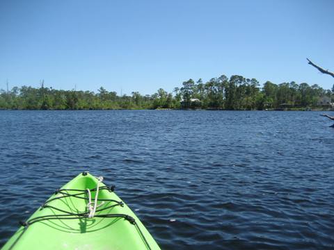 Ochlockonee River, FL Panhandle paddling