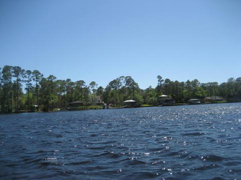 Ochlockonee River, FL Panhandle paddling