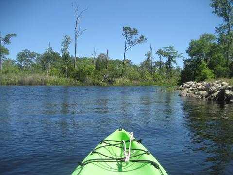 Ochlockonee River, FL Panhandle paddling