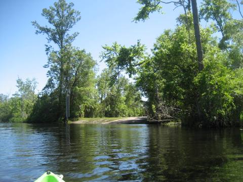 Ochlockonee River, FL Panhandle paddling