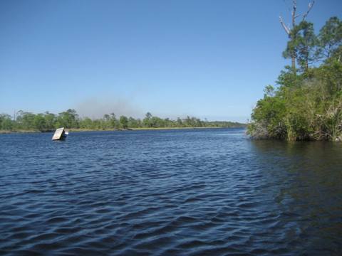 Ochlockonee River, FL Panhandle paddling