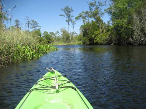 Ochlockonee River, FL Panhandle paddling