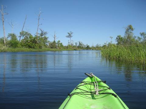 Ochlockonee River, FL Panhandle paddling