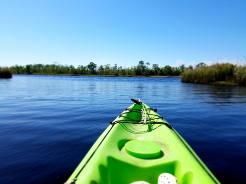 Ochlockonee River, FL Panhandle paddling