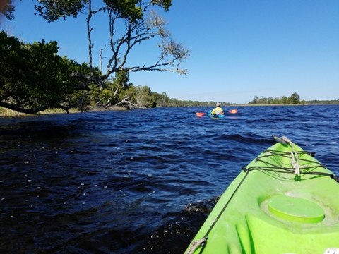 Ochlockonee River, FL Panhandle paddling