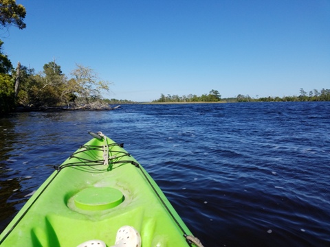 Ochlockonee River, FL Panhandle paddling